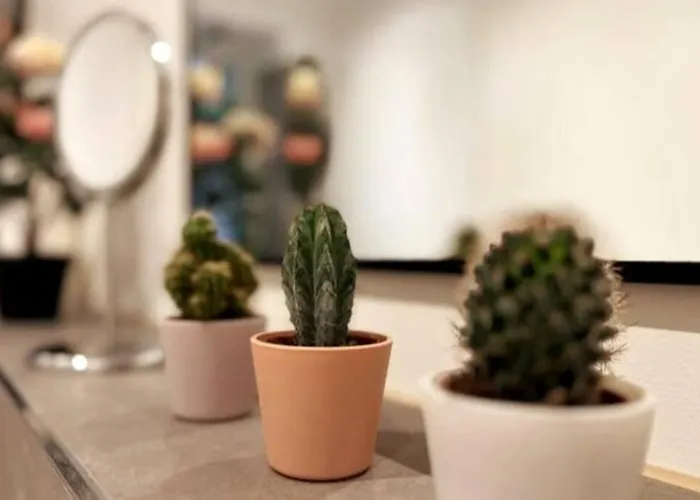 Soul-apartment Terrasse Privat-parkplatz Boxspringbett 55zoll Tv Wlan * Lipcse